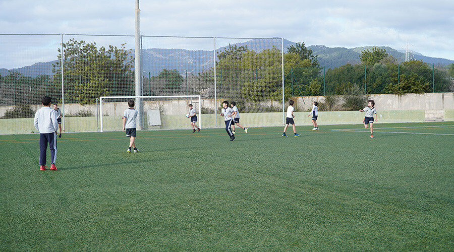 entorno mallorca